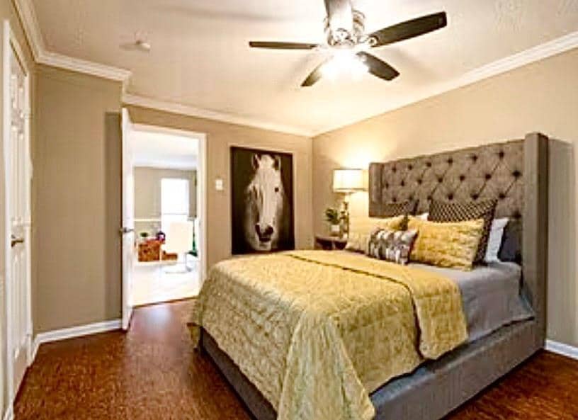 Foto principal - 5151 Richmond Ave.