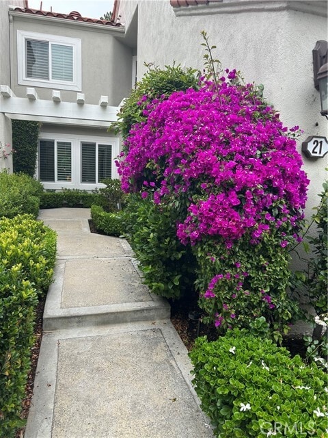 Building Photo - 21 Sarena Dr