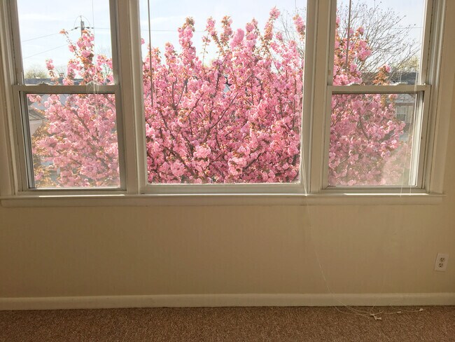 Foto principal - 7404-7435 Brockton Rd