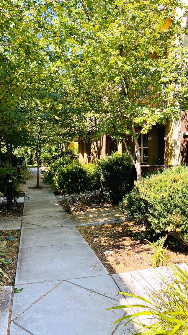 Building Photo - 481 Umbria Pl