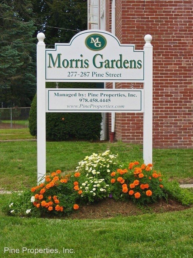 277 Pine St, Lowell, MA 01851 Condo for Rent in Lowell, MA