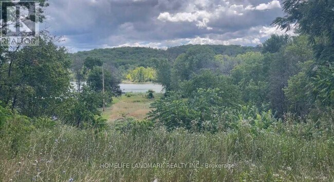 Building Photo - 1355 County Rd 45