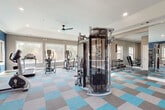 This fitness center is designed to support a comprehensive workout experience within a thoughtfully appointed single-level layout. The space is defined by its striking blue and gray patterned carpet tiles, which add a vibrant, energetic feel throughout. Walls are finished in a combination of bold navy blue and warm gray tones, complemented by white crown molding and ceiling trim that lend a polished, refined character to the environment.

Natural light floods the interior through multiple large windows that frame views of the surrounding outdoor greenery, creating an open and airy atmosphere. Ceiling fans and recessed lighting provide additional comfort and illumination throughout the day.

The main exercise floor houses a full multi-function cable machine at its center, serving as an anchor for strength training. Surrounding it, a row of treadmills, elliptical trainers, and a stationary spin bike provide ample cardio options. A dedicated free weights area includes a dumbbell rack and weight bench, positioned alongside floor-to-ceiling mirrors that enhance the sense of space.

A separate stretching and functional training zone features stability balls, medicine ball storage, resistance bands, and a mat deck, offering a versatile area for flexibility and core work. Abstract artwork decorates the walls, adding an artistic touch to the active environment. The overall ambiance is clean, modern, and motivating.