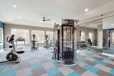This fitness center is designed to support a comprehensive workout experience within a thoughtfully appointed single-level layout. The space is defined by its striking blue and gray patterned carpet tiles, which add a vibrant, energetic feel throughout. Walls are finished in a combination of bold navy blue and warm gray tones, complemented by white crown molding and ceiling trim that lend a polished, refined character to the environment.

Natural light floods the interior through multiple large windows that frame views of the surrounding outdoor greenery, creating an open and airy atmosphere. Ceiling fans and recessed lighting provide additional comfort and illumination throughout the day.

The main exercise floor houses a full multi-function cable machine at its center, serving as an anchor for strength training. Surrounding it, a row of treadmills, elliptical trainers, and a stationary spin bike provide ample cardio options. A dedicated free weights area includes a dumbbell rack and weight bench, positioned alongside floor-to-ceiling mirrors that enhance the sense of space.

A separate stretching and functional training zone features stability balls, medicine ball storage, resistance bands, and a mat deck, offering a versatile area for flexibility and core work. Abstract artwork decorates the walls, adding an artistic touch to the active environment. The overall ambiance is clean, modern, and motivating.