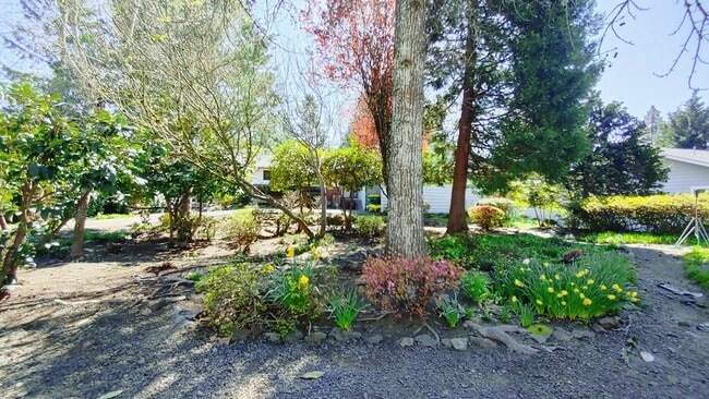 Building Photo - Welcome to this Mid-Century Modern Ranch w...