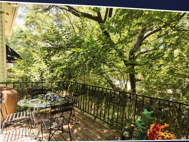 Back Deck - 3421 Pecos St