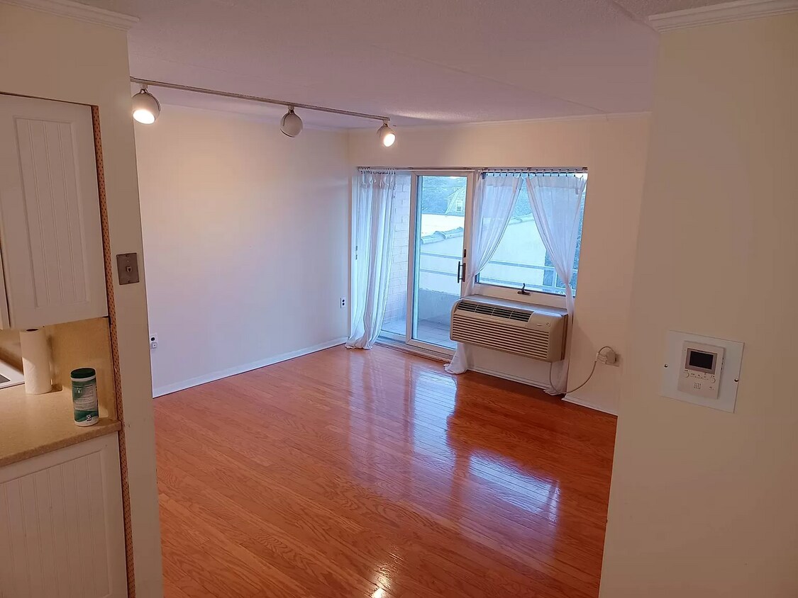 Living Room - 205 Mineola Blvd