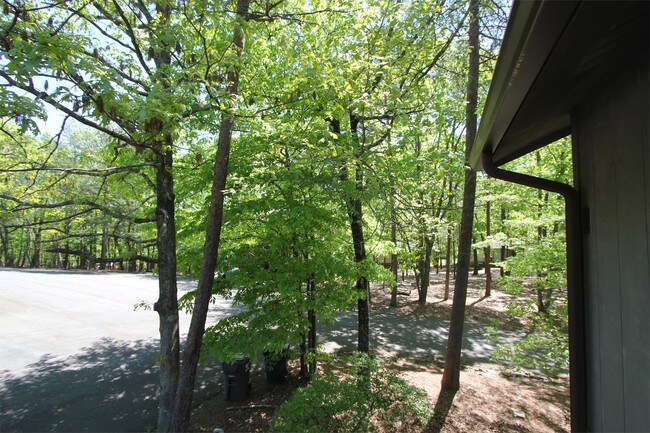Building Photo - 1303 Fairway Oaks
