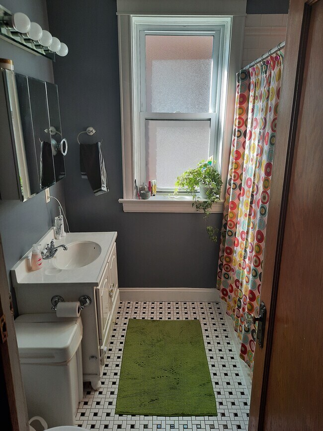 Updated bathroom - 322 S Oak Park Ave