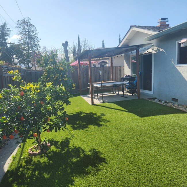 Backyard - 1482 Foxworthy Ave