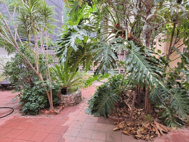 Backyard - 1529 N Hobart Blvd