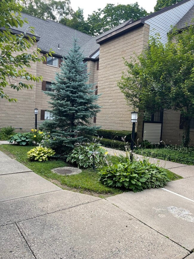 Photo - 181 Loomis Dr Apartment