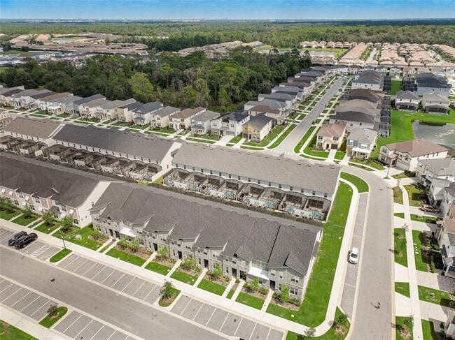 Building Photo - 1688 Tropical Palms Cir