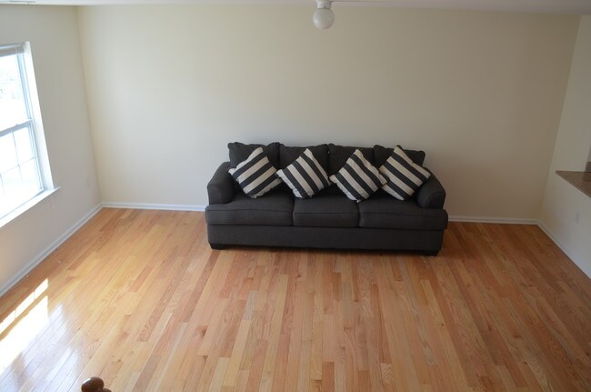 Living room - 4 Alfred Ave