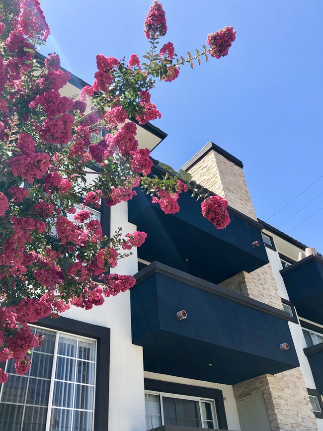 Foto del edificio - Maravilla Apartments at CSUN