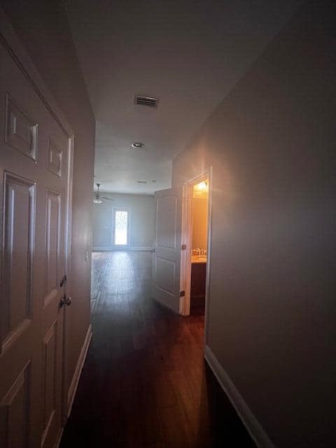 Building Photo - 8847 Brown Pelican Cir