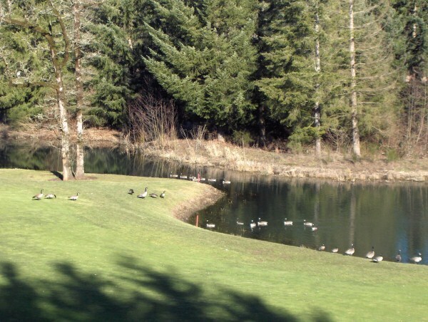 View of Pond - 3039 NW Lacamas Dr