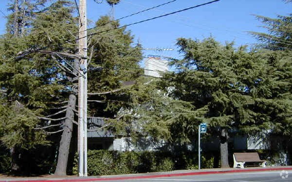 Primary Photo - Cedars Apartments