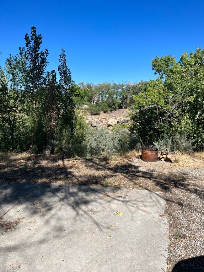 Photo - 3 Bed 1 Bath Downstairs unit. House