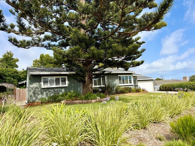 Foto del edificio - Beautiful 3BR/3BA Point Loma Home with Vaulted Ceilings & Central AC