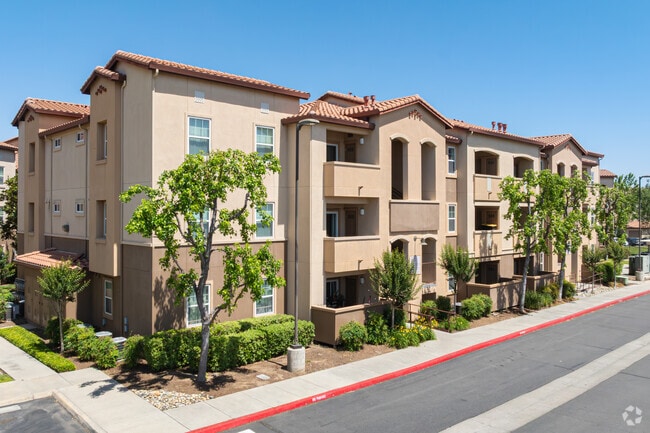 Building Photo - Palmilla at Campus Pointe