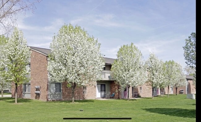 Foto de patio en primavera - Bradford Square