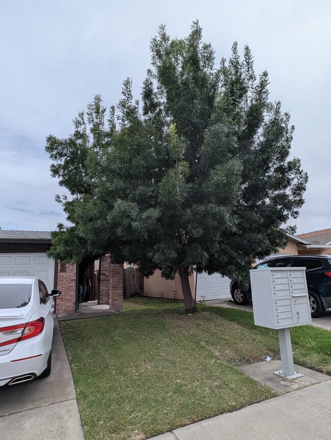 Building Photo - 3250 Blue Ridge Cir