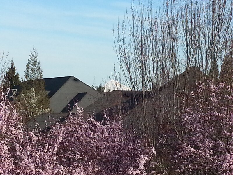 Photo - 774 SE Fairwinds Loop (Vancouver, WA)