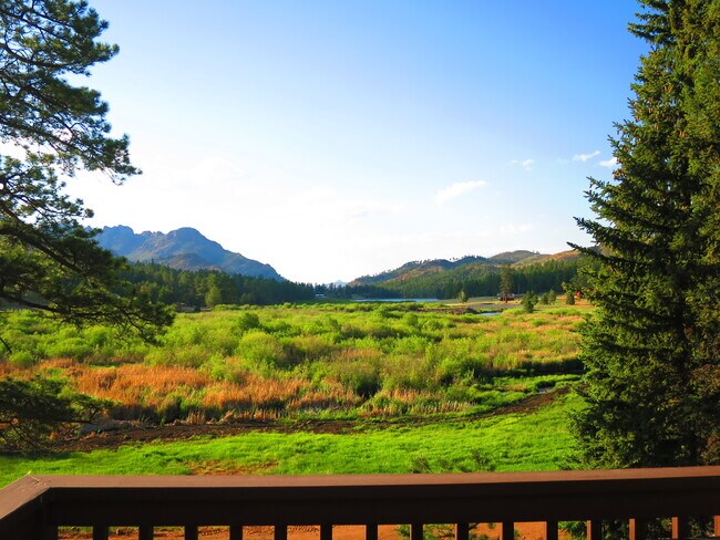 VISTA DESDE LA TERRAZA DELANTERA - 15729 Pine Lake Dr