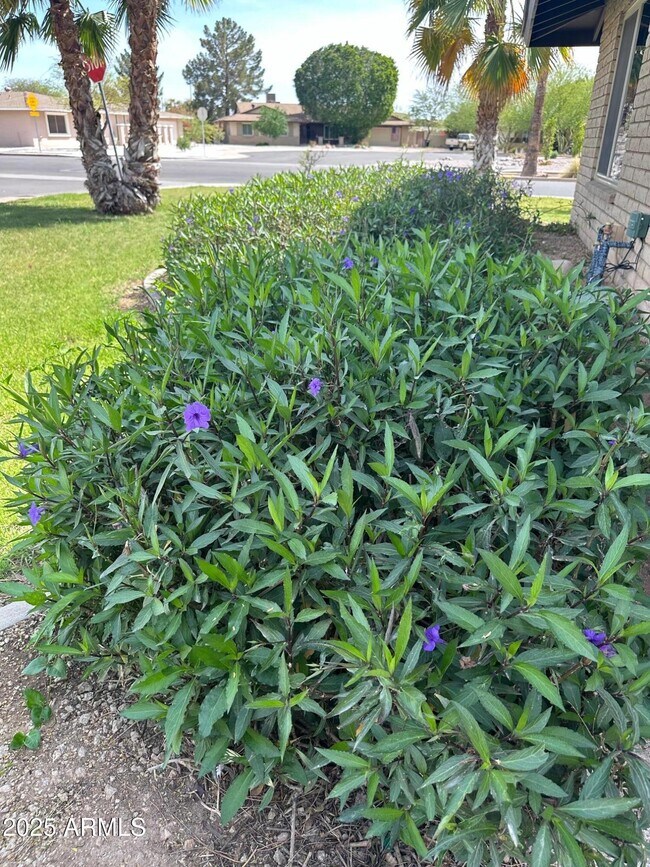 Foto del edificio - 1808 E Fremont Dr