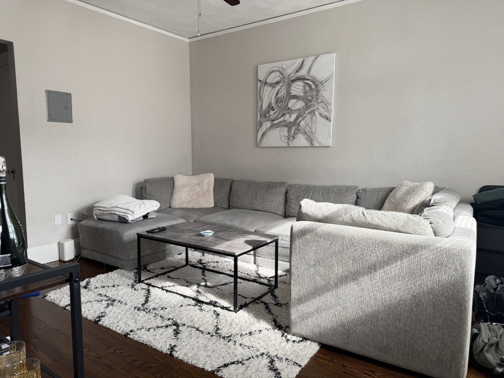 Foto principal - 86 Jersey St