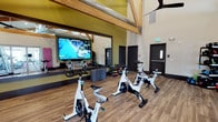 This single-floor fitness studio is thoughtfully designed to support a dynamic and energizing workout experience. The space is anchored by a dedicated cycling area outfitted with a row of professional-grade Spinning bikes, arranged to face a large wall-mounted display screen — ideal for immersive, instructor-led or virtual cycling sessions. The studio's most striking architectural feature is its soaring vaulted ceiling with exposed timber beam trusses, lending the space a warm, lodge-inspired character while allowing for an expansive, open feel. Durable wood-look flooring runs throughout, adding a clean and contemporary aesthetic that holds up well under high-traffic use. Natural light filters in from the upper reaches of the room, complementing the bright, airy atmosphere. Along the back wall, a well-stocked rack of color-coded dumbbells and stacked weight plates offers convenient access to free weights for cross-training and supplemental exercises. Full-length mirrors are positioned to allow participants to monitor their form. A ceiling fan ensures comfortable air circulation during intense workouts. The overall ambiance is modern and motivating, combining functional fitness infrastructure with warm, natural design elements.