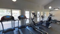 This single-floor fitness room is designed to support an effective cardio-focused workout experience. The space is outfitted with a selection of cardio equipment, including multiple treadmills, an elliptical trainer, a stationary bike, and a rowing machine, all positioned on dark rubber flooring that provides both durability and safety underfoot.

A standout feature of the room is its abundant natural light, which streams in through large windows and a set of white-framed French doors. These doors open to an outdoor area, offering views of the surrounding exterior and creating an airy, open atmosphere that enhances the workout environment. The bright, neutral-toned walls and vaulted ceiling contribute to the spacious and welcoming feel of the room.

The French doors and windows are evenly distributed along the wall, giving the space a symmetrical, well-organized appearance. The overall design emphasizes functionality while maintaining a clean, uncluttered aesthetic. The combination of natural light, ventilation access through the doors, and quality equipment makes this fitness room a practical and pleasant space for cardiovascular exercise.