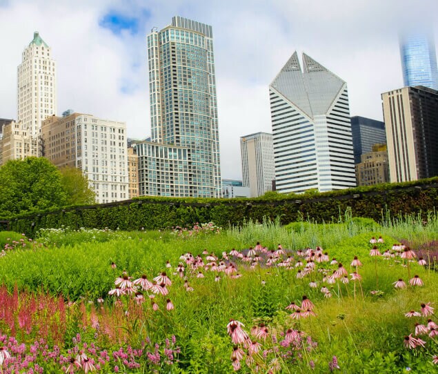 A beautiful spring day