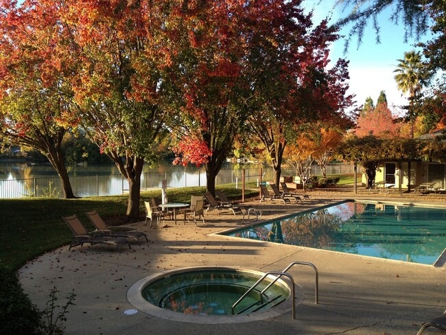 Interior Photo - Lakeshore Apartments - Lake Views!