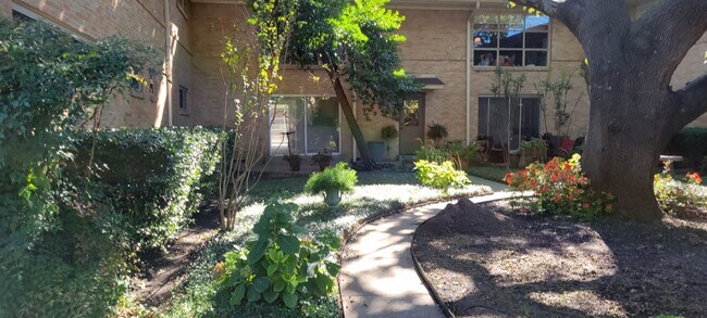 Building Photo - 6123 Bandera Ave