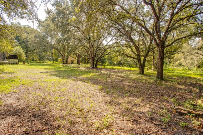 Building Photo - 4520 Griffin View Dr