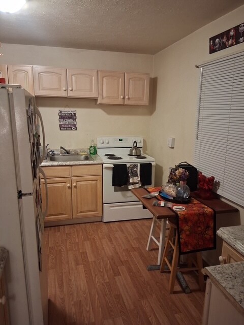 Foto del edificio - 228 Stoney Mountain Rd