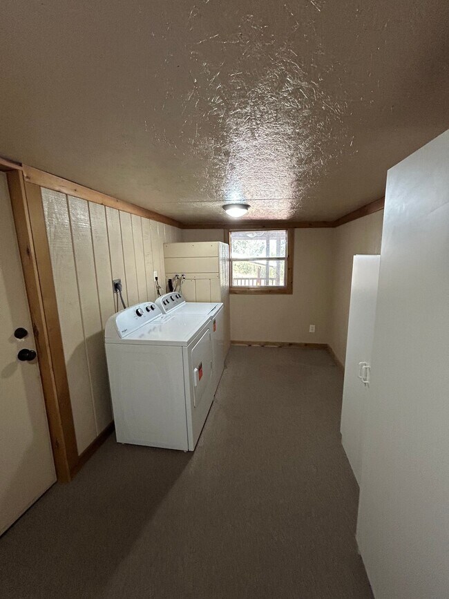 Foto del edificio - 703 Driftwood Ln