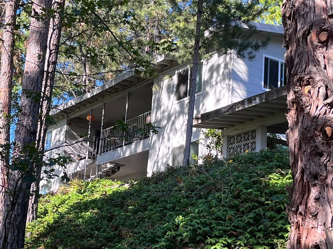 Primary Photo - NICE QUAINT APARTMENT IN COLFAX!!