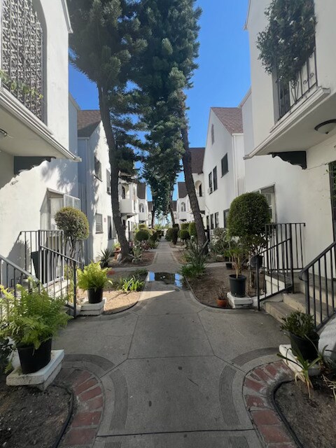 Foto del edificio - 1116 E Lexington Dr