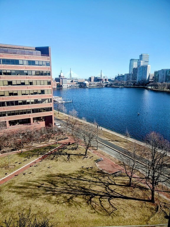 Foto del edificio - 75-83-83 Cambridge Pkwy