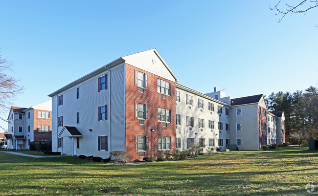 Primary Photo - Saint Anne's Garden