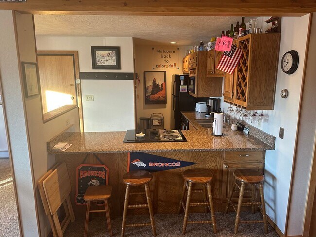 Foto del edificio - Summer Rental  -Timber Ridge Condo - Cozy 1 Bedroom/1 Bath w/Fireplace and Pull-out couch