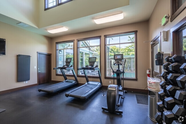 Gym - Willow Tree Grove