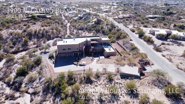 Building Photo - 3900 N Camino Blanco