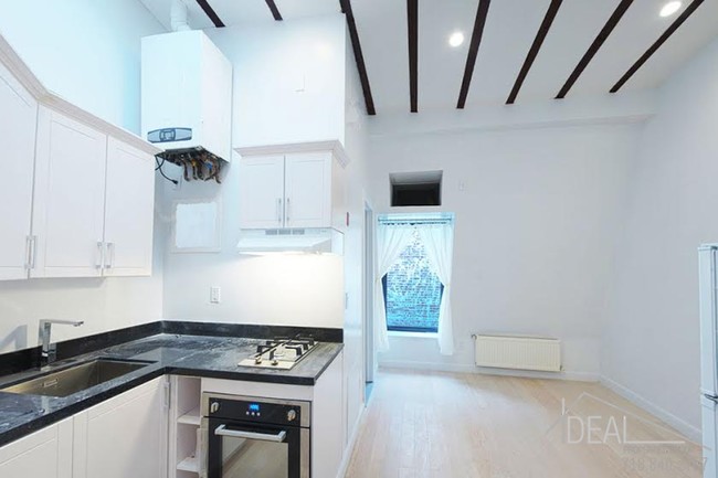 Building Photo - Beautiful Bed-Stuy Studio LOFT