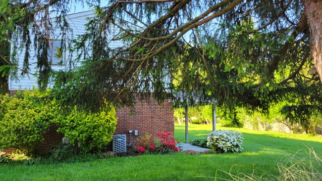 Building Photo - 211 Maple Ave