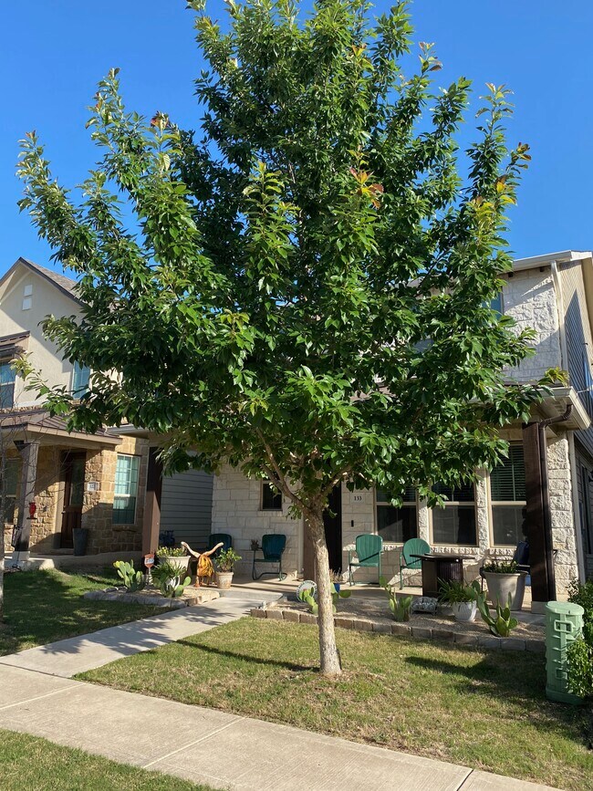 Building Photo - 133 Buckthorn Dr