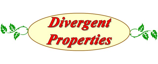 Divergent Properties